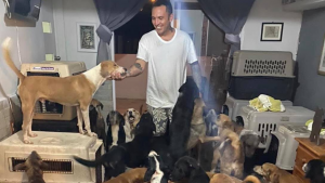 Hombre resguarda a más de 300 animalitos del huracán Delta