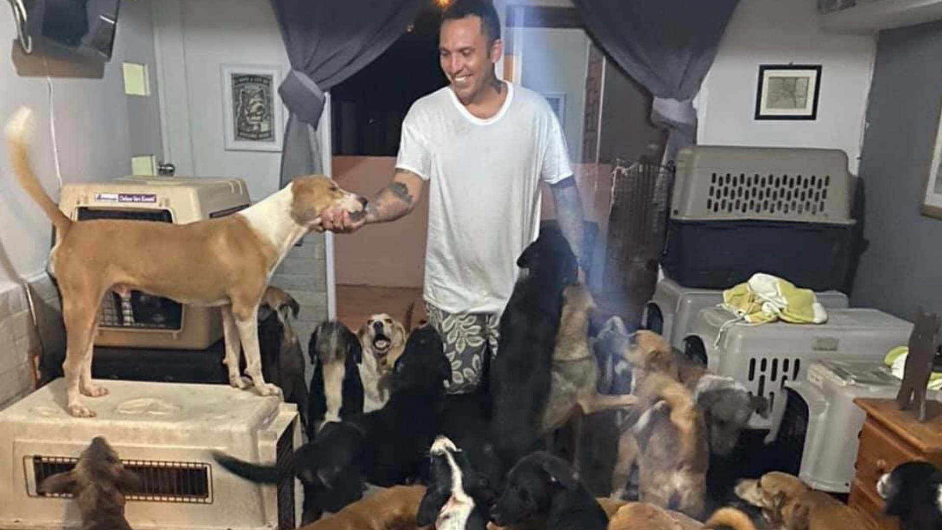 Hombre resguarda a más de 300 animalitos del huracán Delta