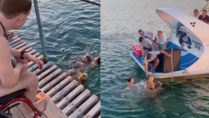 Hombre en silla de ruedas se avienta al mar para salvar la vida de un chavo
