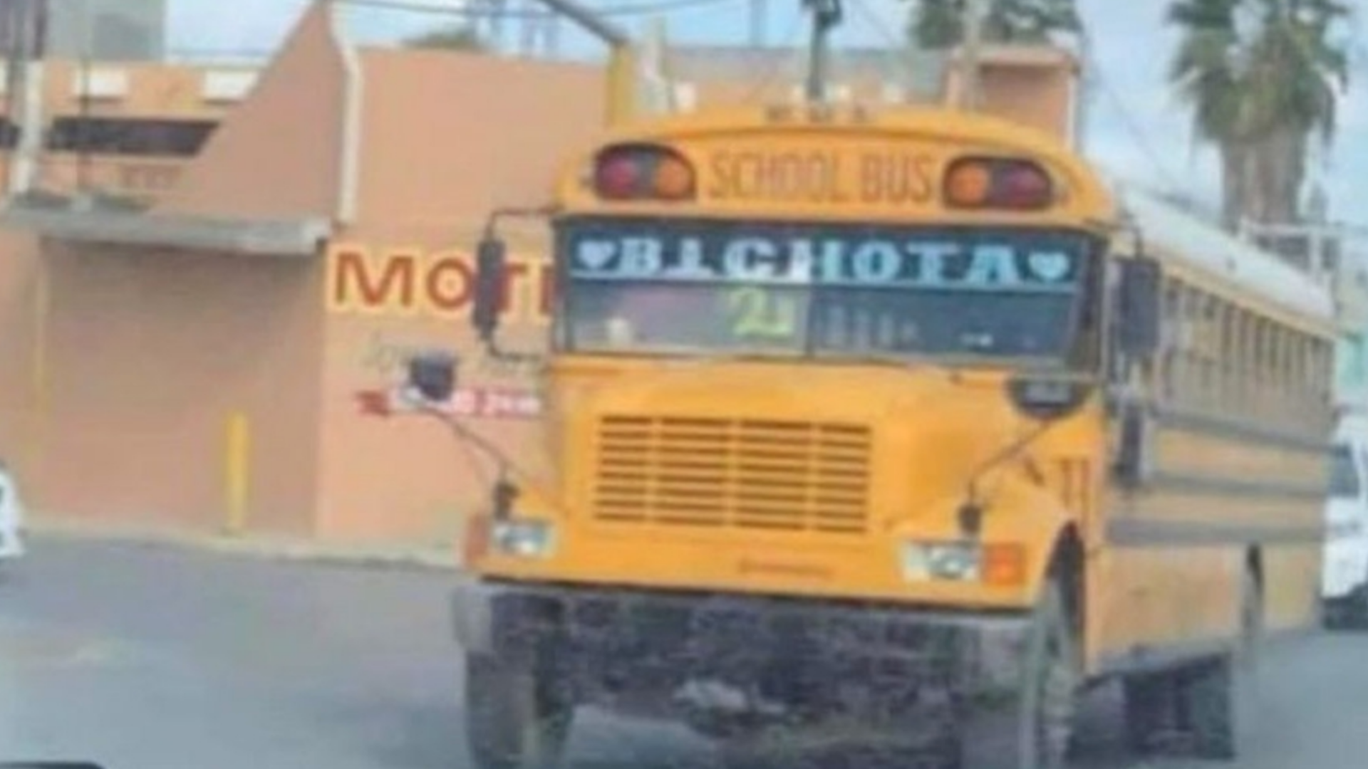 Nombran “Bichota” a autobús en Reynosa y Karol G pide dar una vuelta