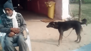 Señor le quita la herencia a sus hijos y se la hereda a su perrito Jacky