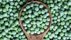 alimentos congelados