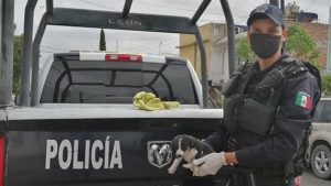 oficial de policía