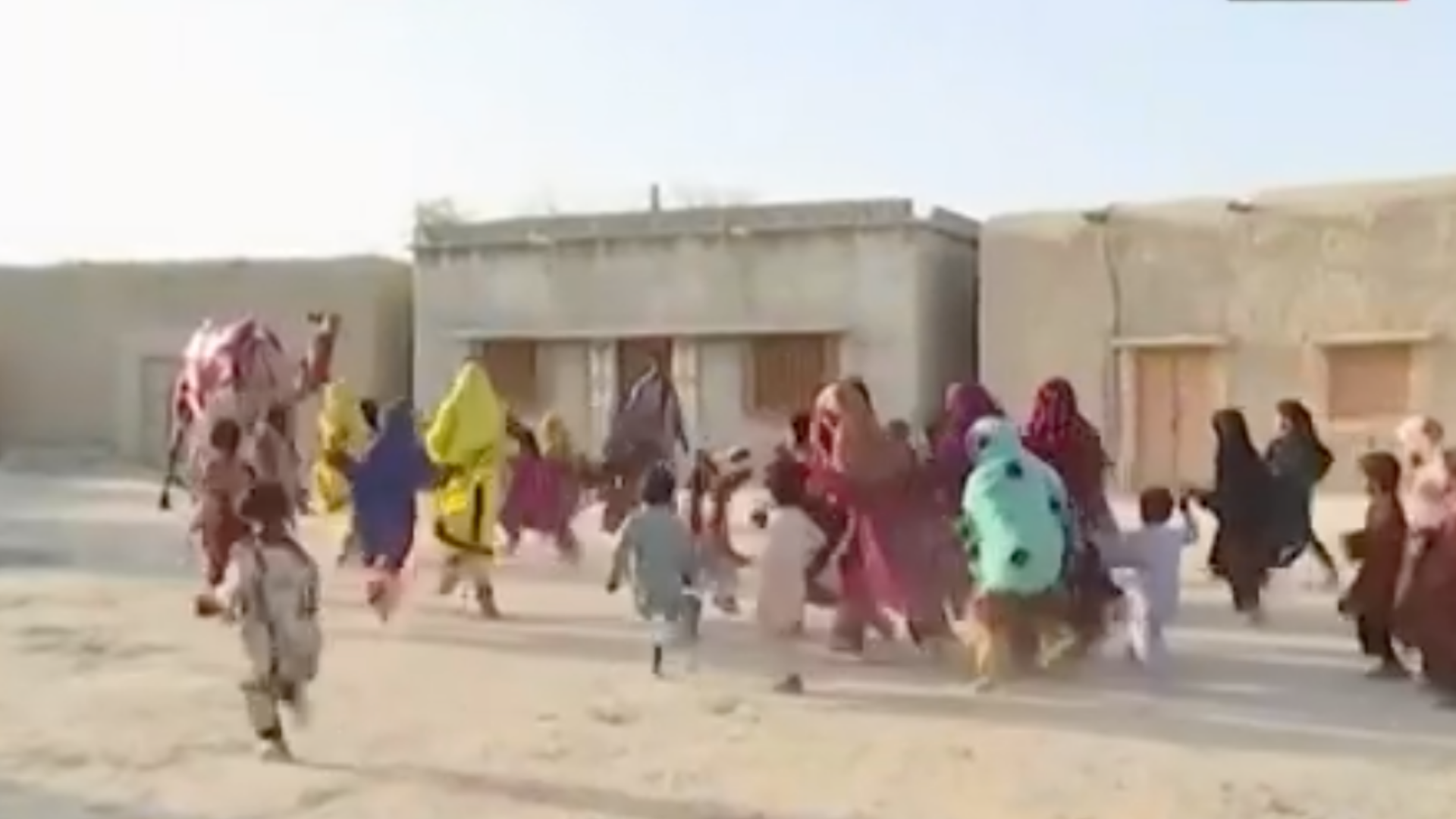 Este es el camello que transporta libros a los niños por el desierto