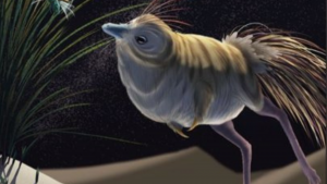 Descubren un pequeño dinosaurio volador de hace 25 millones de años