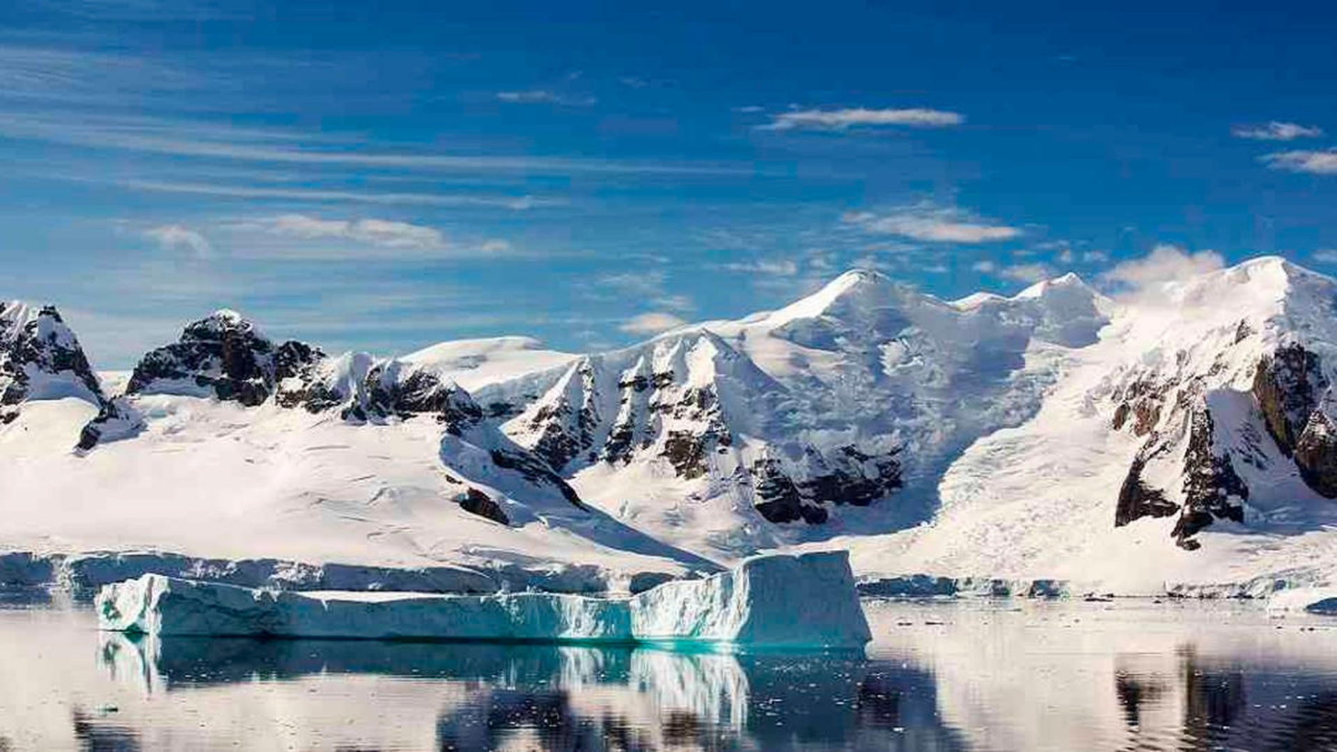 Encuentran vida en la Antártida a mil metros debajo del hielo