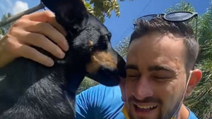 Repartidor se conmueve con perrito de la calle y así lo adopta