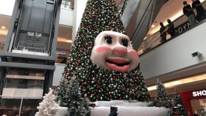 61a506f9f26f3.r_d.555-503-0