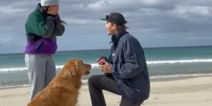 perrito_propuesta_matrimonio_61bb8c34064c3 (2)