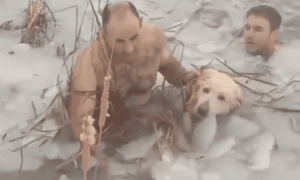 policias-guardia-civil-españa-rescatan-perrito-lago-congelado-video-viral-3-920x551
