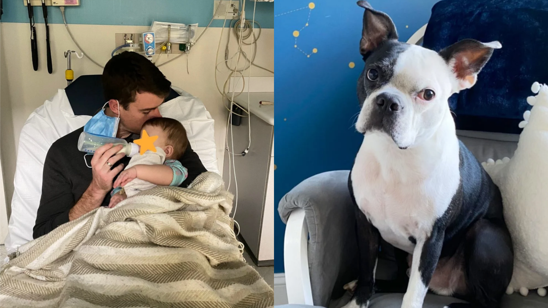 Perrito salva la vida de una bebé de 9 meses y su historia se hace viral