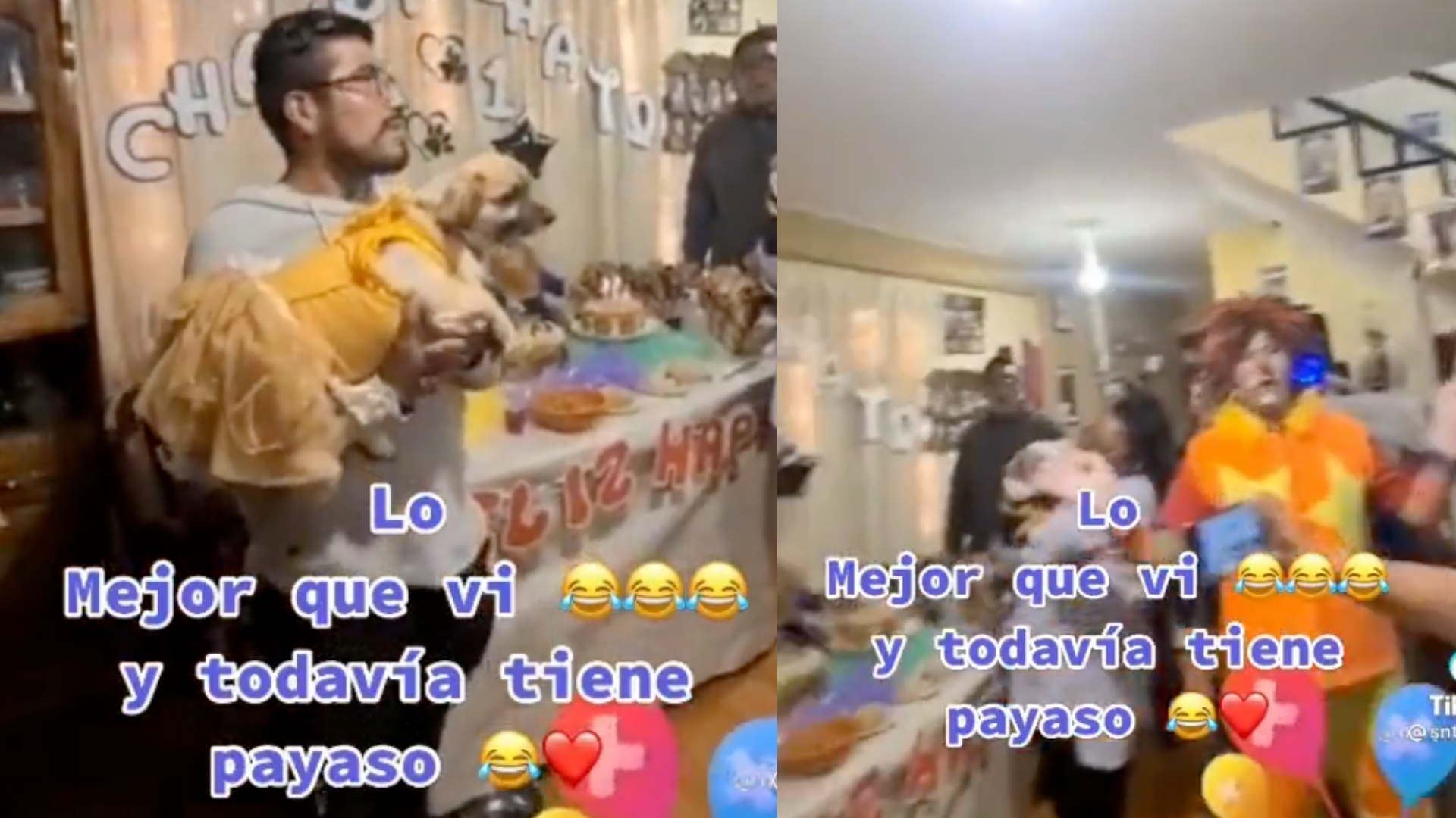 Familia organiza fiesta para sus perritos hasta con pastel y payaso