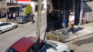 A la novia se le junta el ganado y queda grabado por sus vecinos