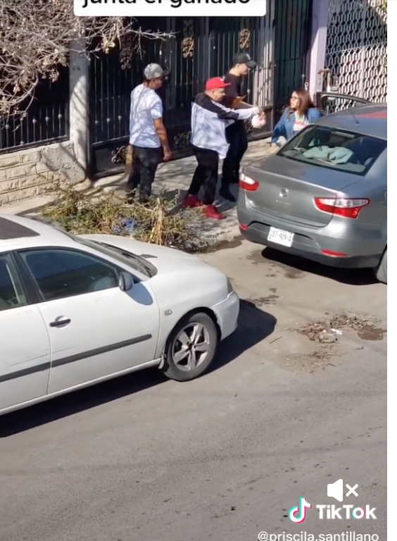 A la novia se le junta el ganado y queda grabado por sus vecinos