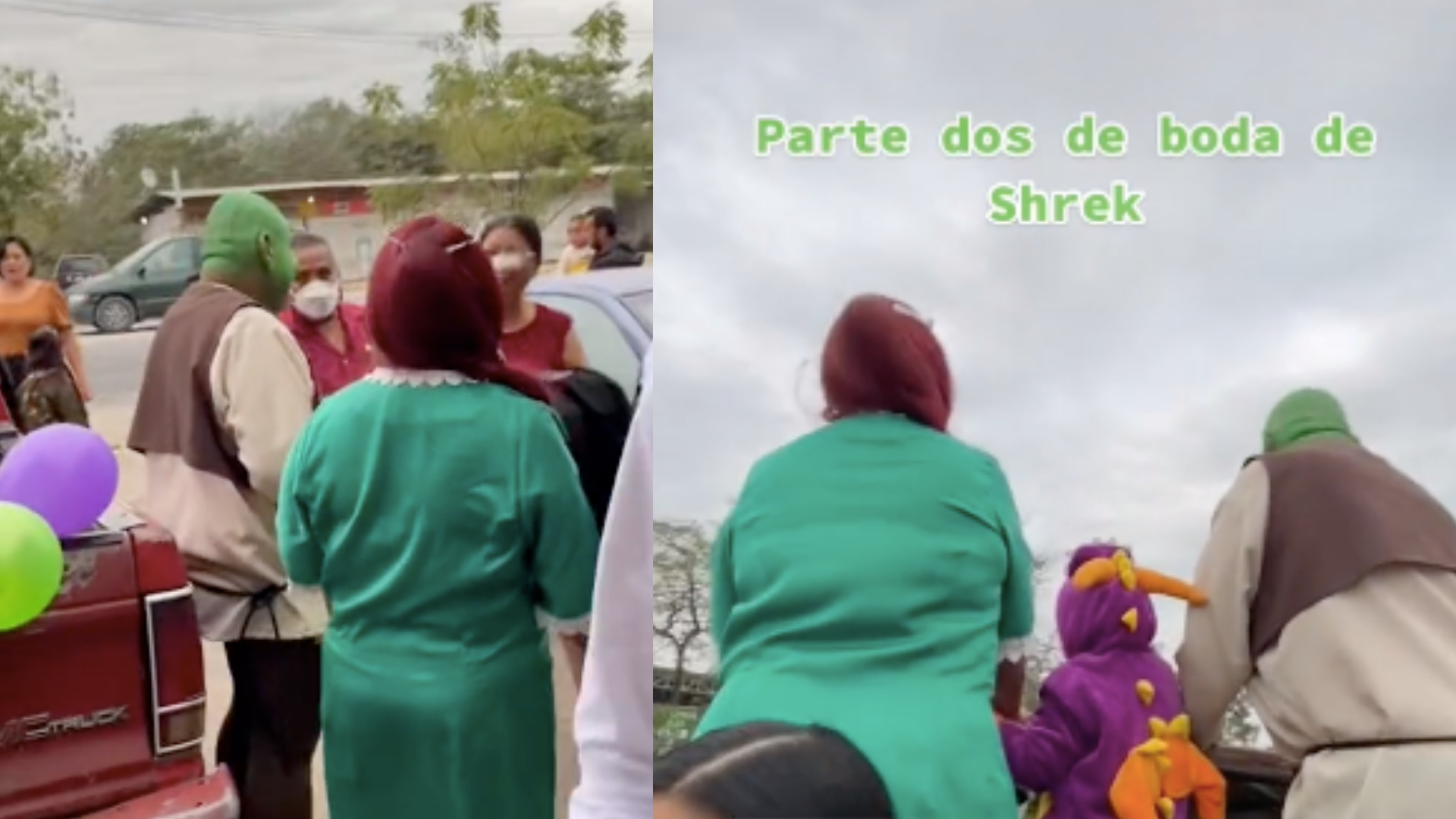 Boda con temática de Shrek se hace viral en las redes