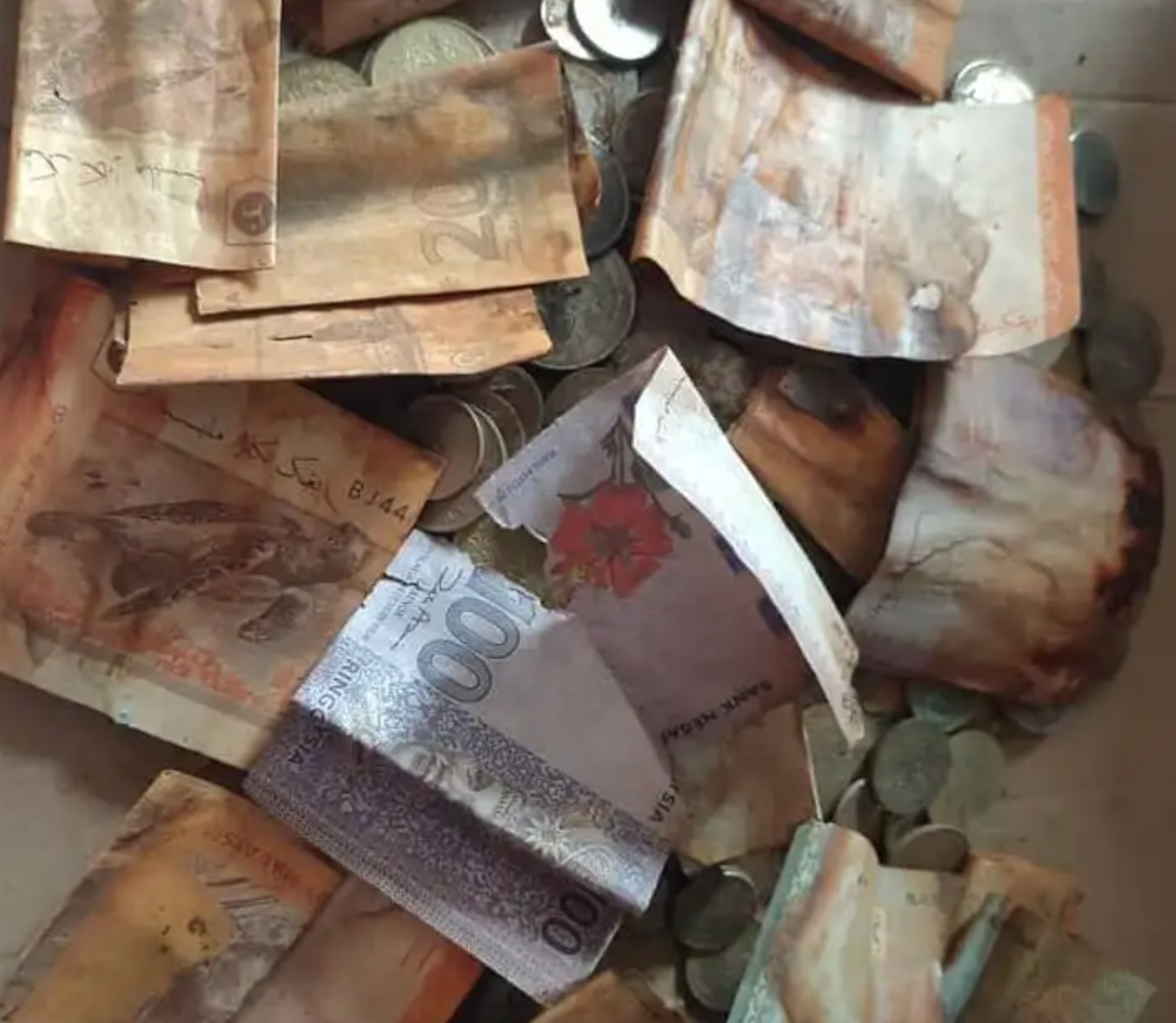 Hombre ahorra su dinero en un lugar secreto y se pudren sus los billetes