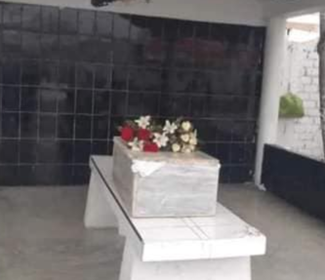 Sin duda te has encariñado alguna vez con un perrito de la calle que todos conocen, saludan y hasta cuidan por que se ha hecho parte de su vida a diaria