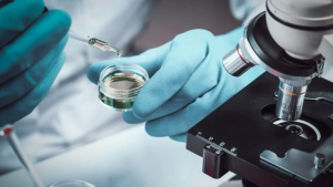 ¡Qué emoción! Ensayo experimental cura a 18 pacientes contra el cáncer