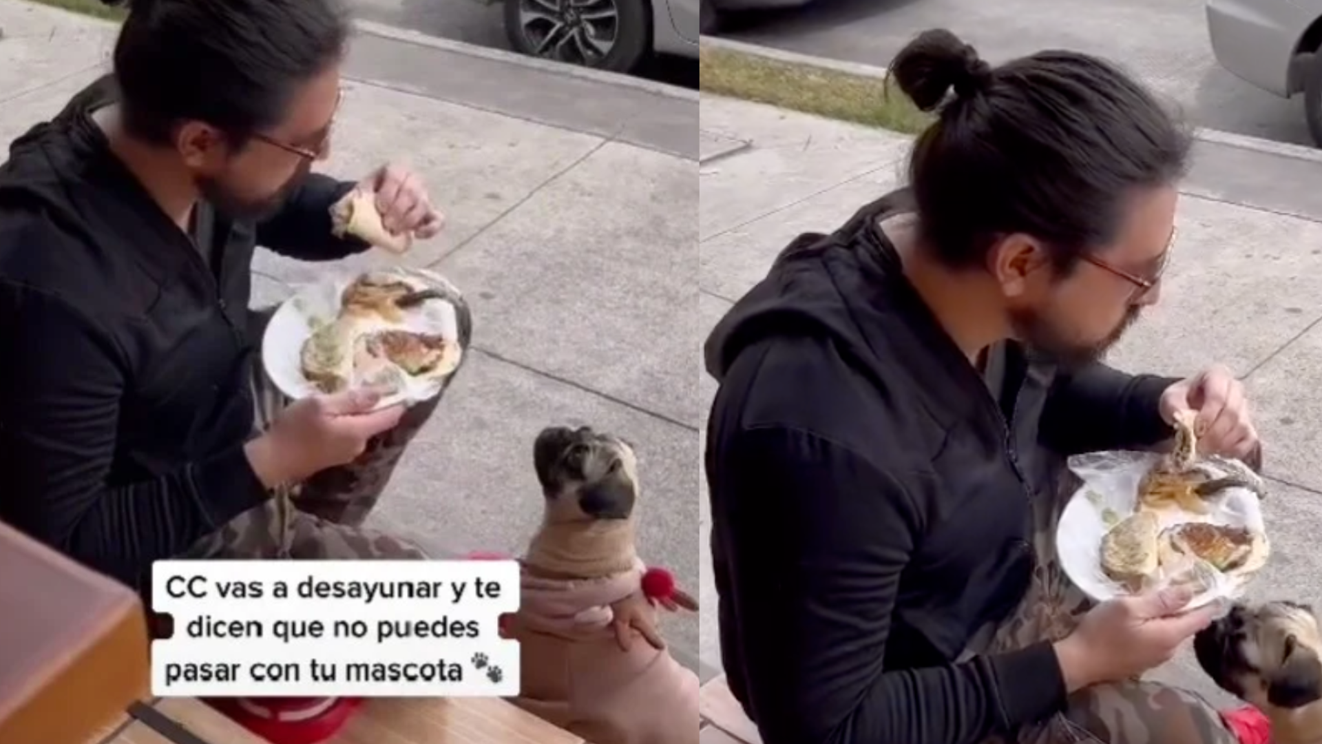 Le niegan la entrada con su perrita al restaurante y come en la calle