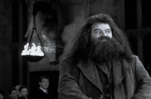 Hagrid