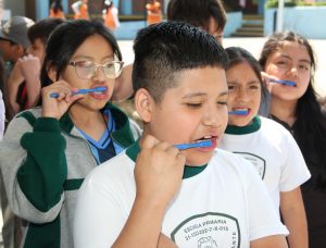 WhatsApp Image 2025-04-15 at 1.08.39 PM