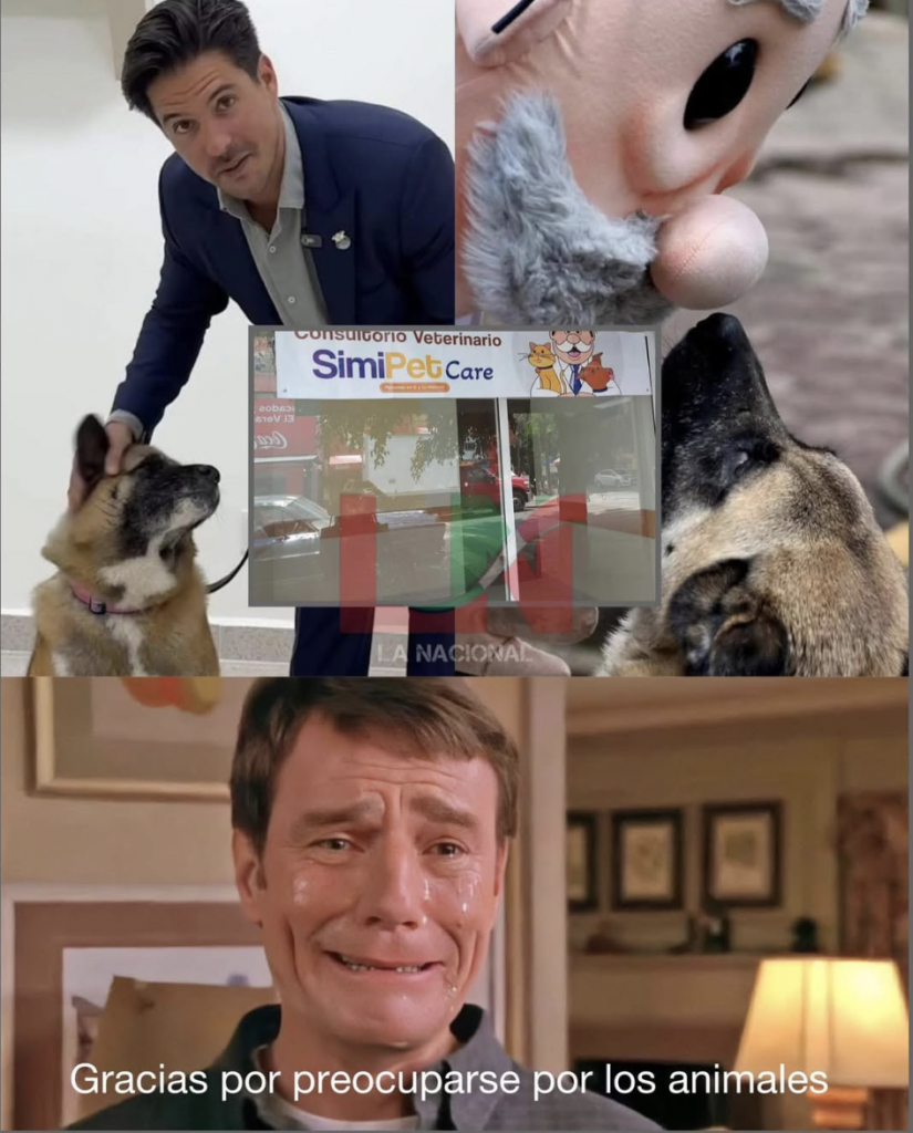 Memes de SimiPet Care