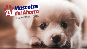 Mascotas del ahorro