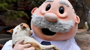 Consulta gratis en Simi Pet Care