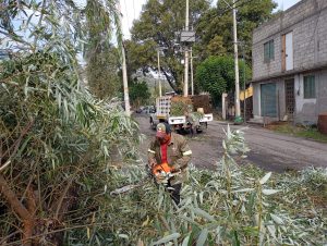 WhatsApp Image 2025-06-03 at 12.27.50 PM