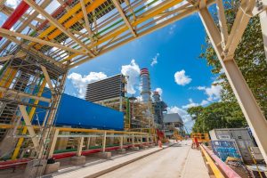 WhatsApp Image 2025-06-15 at 1.35.51 PM