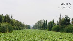 WhatsApp Image 2025-06-26 at 7.17.45 PM