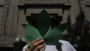 Mexico's Supreme Court Declares Unconstitutional To Criminalise Marijuana Possession