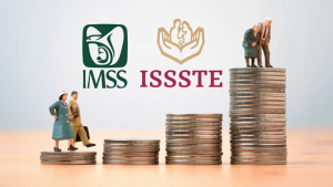 IMSS e ISSSTE