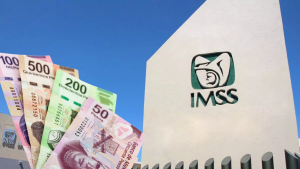 Pensión IMSS