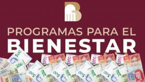 Programas del Bienstar