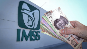 IMSS