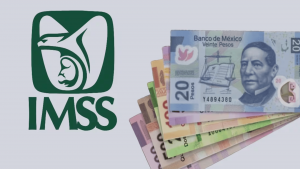 IMSS