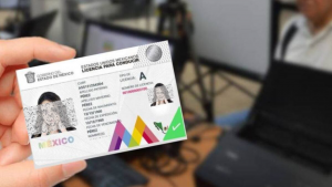 Licencia Edomex