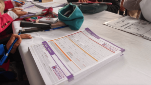 Pensión Mujeres Bienestar