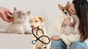 Esteriliza a tu mascota