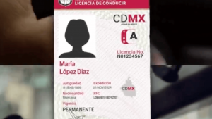 Licencia