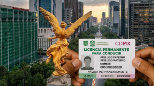Licencia de conducir permanente