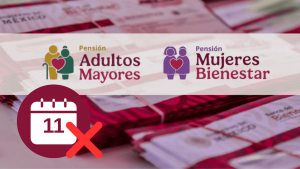 Suspensión Pensión Bienestar