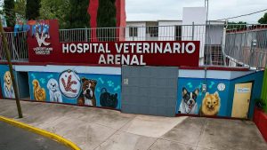 Hospital Veterinario CDMX 24 horas