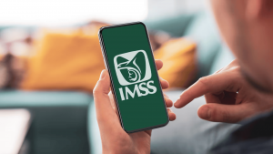 Imss