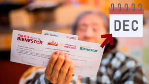 Registro Pensión Adultos Mayores