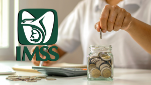 Doble Pensión IMSS