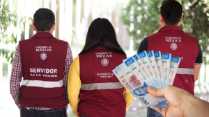 servidores del bienestar