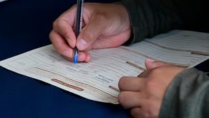 Apoyo Al Empleo 2026