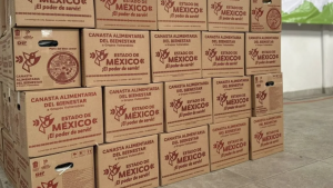 Alimentacion Bienestar